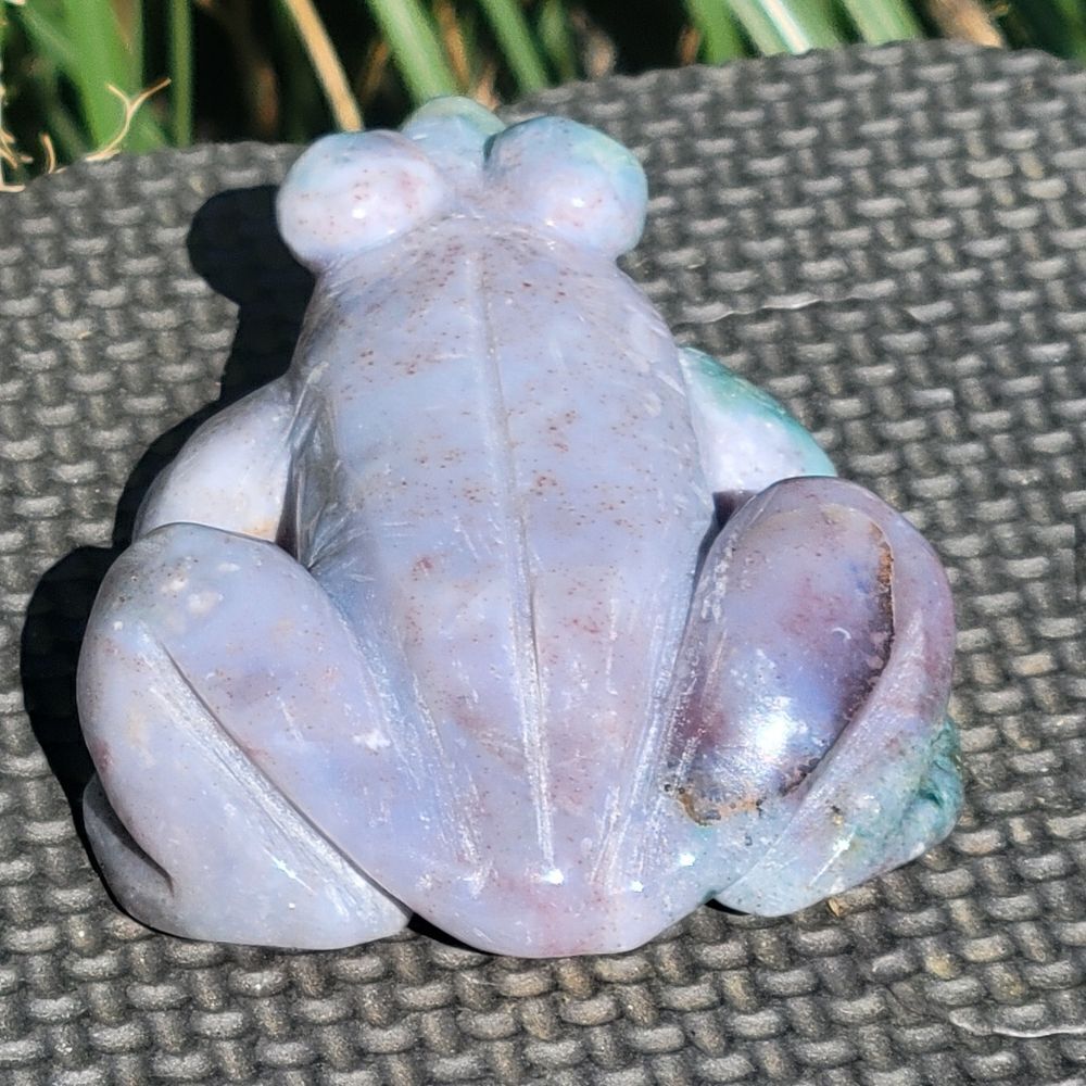 Ocean Jasper Frog - Picture 4 of 10